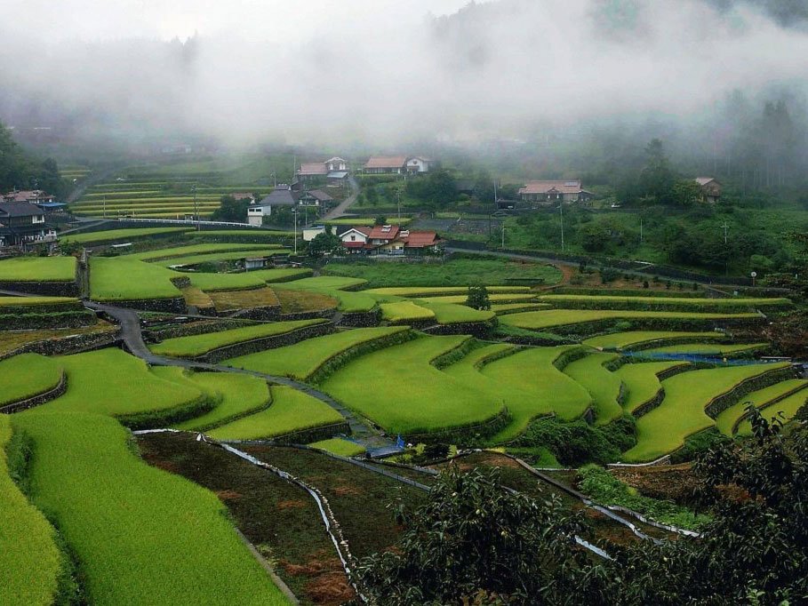 🏞️ 이니 계단식 논(이니노타나다) 이미지 5